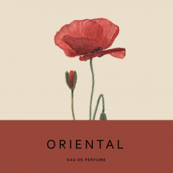 Perfume Ólite - Aromas Artesanales