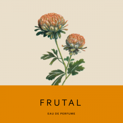 Perfume Estrada - Aromas Artesanales