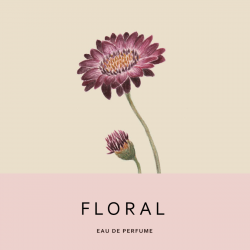 Perfume Ayora - Aromas Artesanales